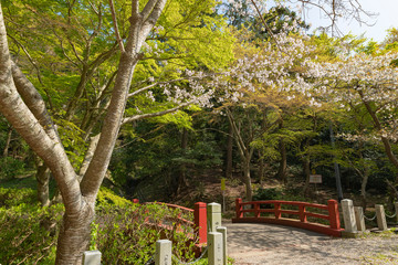 Wall Mural - 田原市　春の滝頭公園