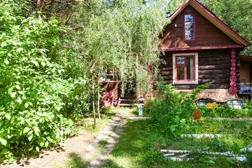 Wall Mural - front view of rural yard and russian wooden log house on sunny summer day