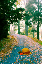 Autumn Road Or Path, Alley With Trees And Colorful Leaves And Romantic Yellow Hat And Orange Rose  Like Romantic  Concept And Background With Copy Space 