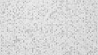 © Papapig - Dot white black pattern gradient texture background. Abstract  technology big data digital concept. 3d rendering.