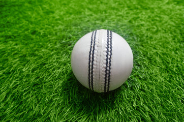 Wall Mural - cricket ball resting on green grass pitch, cricket ground, ipl, twenty twenty , cricket 