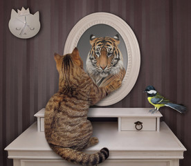 The biege cat stares his reflection in the mirror at home. He sees a tiger there. A bird is next to him.