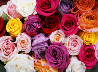 Fotomurales - fresh colorful roses in a bouquet as background