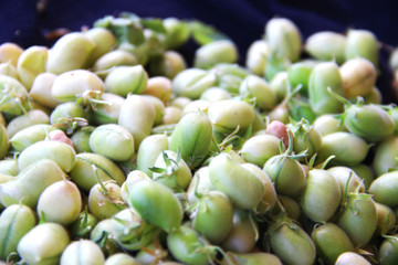 Many shelled fresh chickpeas on fabric