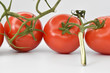 Czerwone, soczyste pomidory na białym tle.