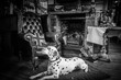 Damlmation dog in front of english pub fireplace country 