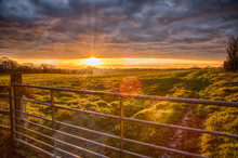 Sussex Countryside Farm Gate View Sunset Fields Glare