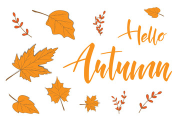 Wall Mural - Hello Autumn brush hand lettering text with leaves