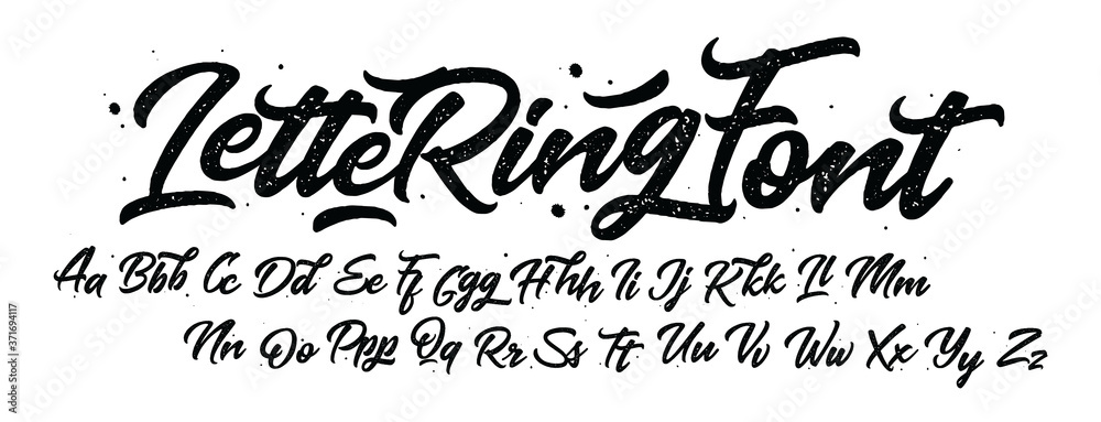 Vector hand drawn alphabet isolated on white background. Brush painted ...