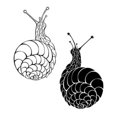 Two monochrome snails