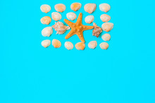Summer Background, Seaside Vacation, Starfishes, Seashells And On A Turquoise Blue Background
