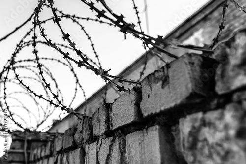 Fotografía barbed wire, with a brick wall, black and white photo Theme of imprisonment
