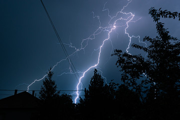 Wall Mural - long, branched, powerful lightning bolts strike down behind the trees
