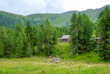 mountain hut in a forest in the austrian alps