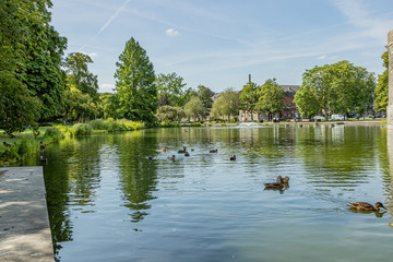 Lake surrounded by trees with green foliage with ducks swimming calmly with reflection of sunlight in the water, sunny summer day in the Maastricht city park in South Limburg, Netherlands