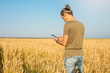 © Tatiana - A young modern man is using a smartphone among golden spikelets of ripe wheat in a field