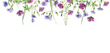 Fototapeta Kwiaty - Watercolor background of falling red and blue flowers on a white background