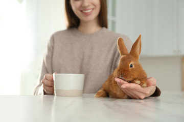 Canvas Print - Young woman with cup of coffee and adorable rabbit at table indoors, closeup. Lovely pet