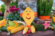 autumnal decoration with tree trunk, corn cobs, grape, smiling glider, pumpkins and flowers
