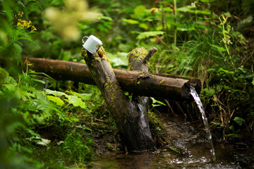 natural well with a metal mug