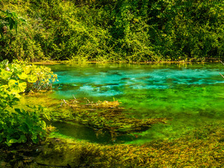Wall Mural - forest lake. the stunning lakes of albania.