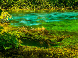 Wall Mural - forest lake. the stunning lakes of albania.