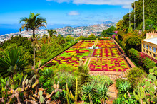 Madeira Botanical Garden In Funchal, Portugal