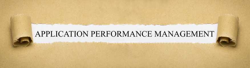 Application Performance Management