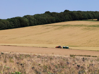 Poster - Cotswolds scenery and agricultural landscape England UK