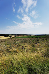 Poster - Cotswolds scenery and agricultural landscape England UK