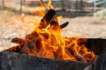 the fire in the grill, burning coals, firewood burn