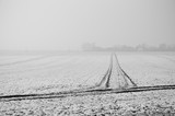 Fototapeta Na ścianę - Poranna zimowa mgła nad polami