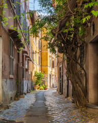  The picturesque Rione Trastevere on a summer morning, in Rome, Italy.