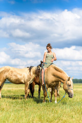 The girl is sitting on a horse. Photographed in a meadow in summer.