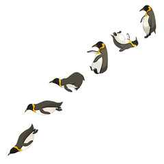 Set of penguins in Cartoon style on white isolated background made as a vector stock illustration for prints or stickers, concept of Antarctic animals and birds, Wildlife, Pole and Cartoon Character.