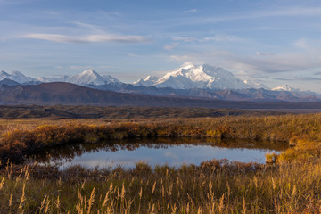 Sticker - Autumn Reflection Landscape in Denali National Park Alaska