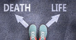 Death and life as different choices in life - pictured as words Death, life on a road to symbolize making decision and picking either Death or life as an option, 3d illustration