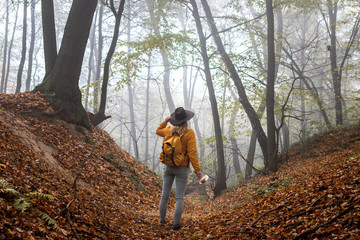 Wall Mural - hiker with backpack standing in fog at forest. hiking in autumn woodland