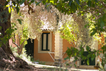 Wall Mural - scorcio di casale siciliano