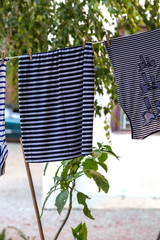  Laundry dries on the rope. Wet nautical clothing, navy striped shirts, vests dry on a rope. Urban landscape
