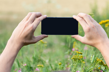 Holding smart phone with black screen with two hands horizontally in wheat and flowers field summer sunny nature landscape mockup template