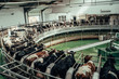 © DedMityay - Round rotary machine for milking cows in dairy farm.