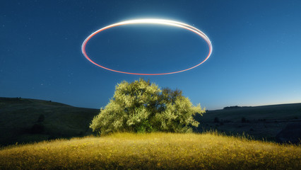 Wall Mural - tree and drone is painting light. flying circling drone sheds a halo light, yellow grass, sky with s