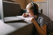 © Tatiana - Boy with laptop doing homework with headphone.