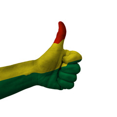 Hand making thumbs up sign, bolivia painted with flag as symbol of thumbs up, like, okay, positive  - isolated on white background