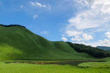 Scenery of Nara-Soni Highlands in midsummer