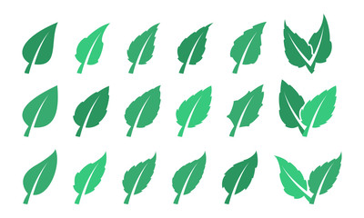 Wall Mural - Green leaf set. Eco design