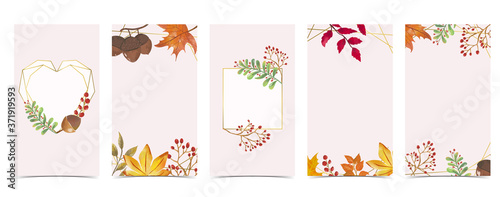 Cuadros en Lienzo Autumn background for social media