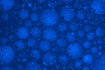 Aufkleber - Beautiful abstract blue bubbles in water extreme. Abstract nature pattrn for design. Macro photogrpaphy view.
