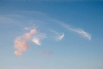 Wall Mural - the clouds in the sky are lit up by the rays of the setting sun
